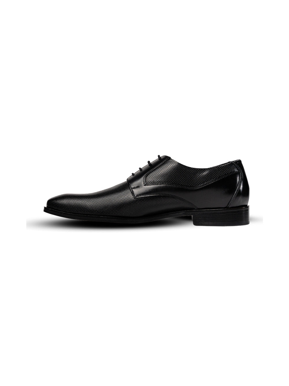 Zapato de Vestir Tavoline